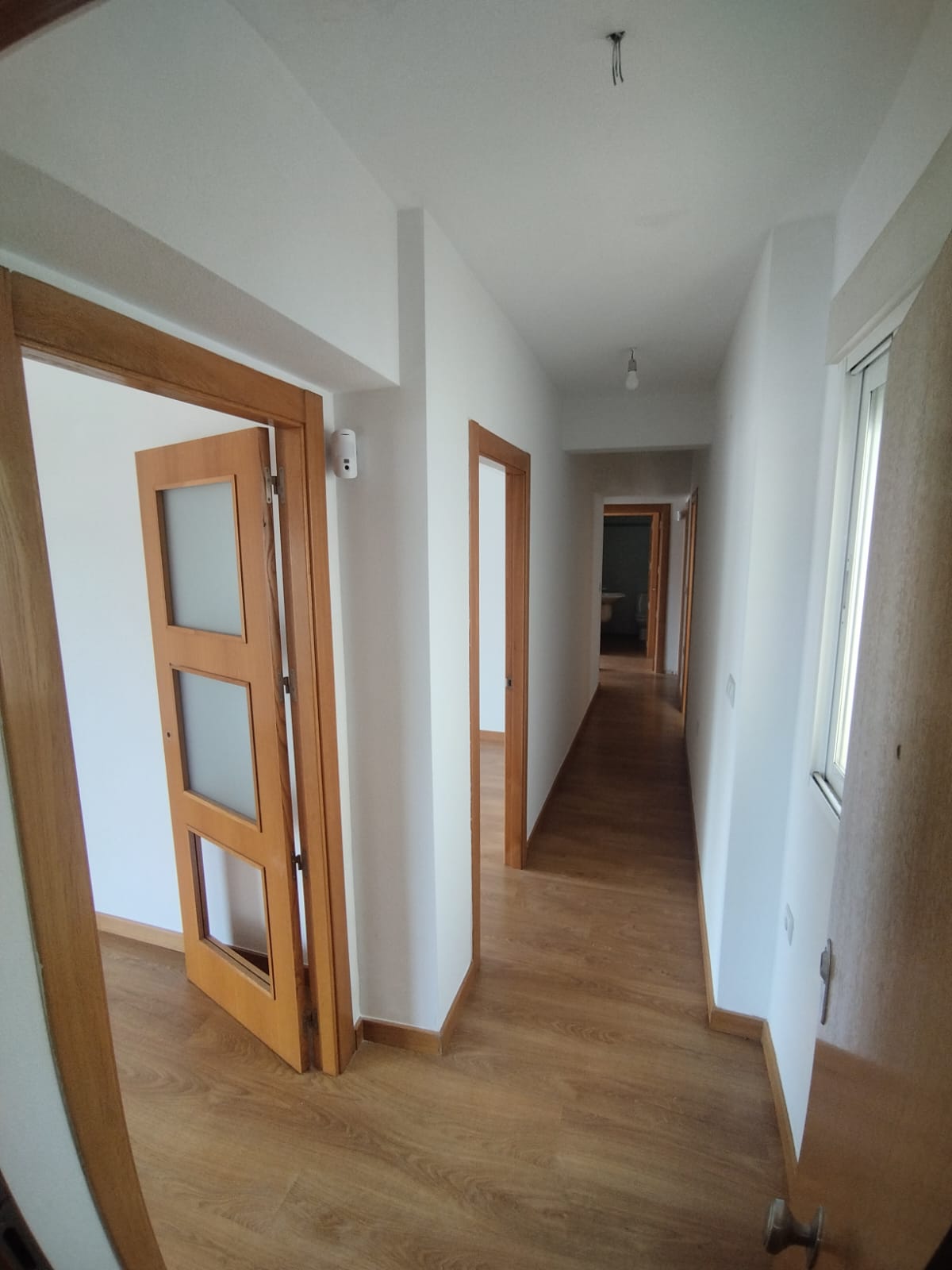 50014_cll palmera, alcantarilla (1).jpeg